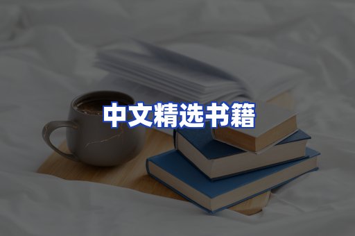 中文精选书籍